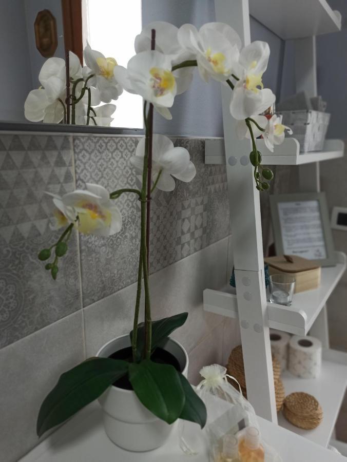 Alloggio La Perla, Quiete Ed Eleganza Con Vista Barbarano Vicentino 外观 照片