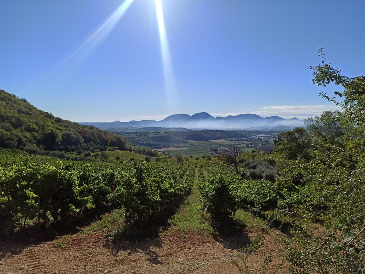 Alloggio La Perla, Quiete Ed Eleganza Con Vista Barbarano Vicentino 外观 照片