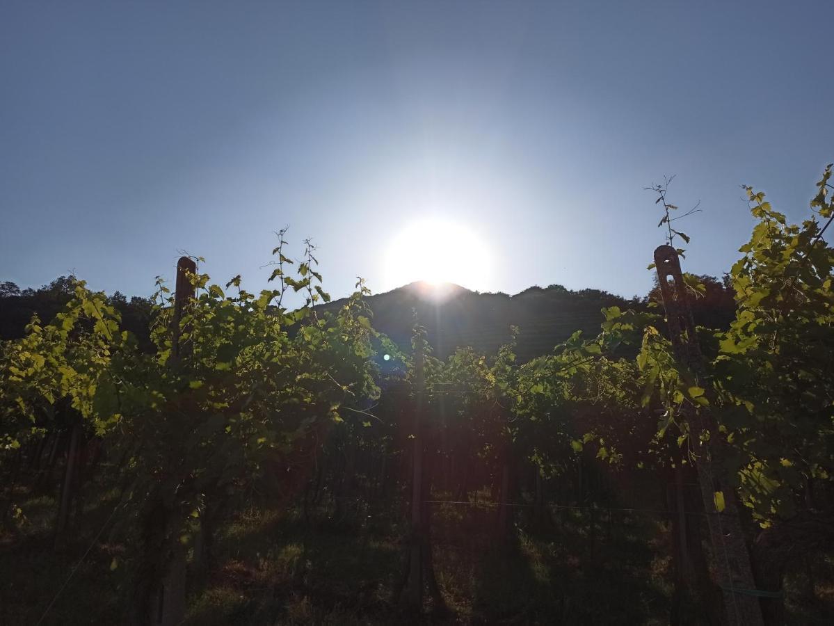 Alloggio La Perla, Quiete Ed Eleganza Con Vista Barbarano Vicentino 外观 照片