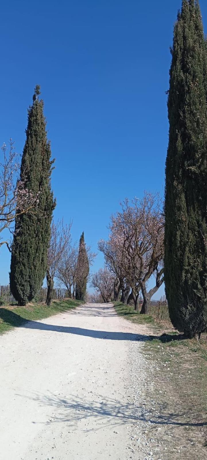 Alloggio La Perla, Quiete Ed Eleganza Con Vista Barbarano Vicentino 外观 照片
